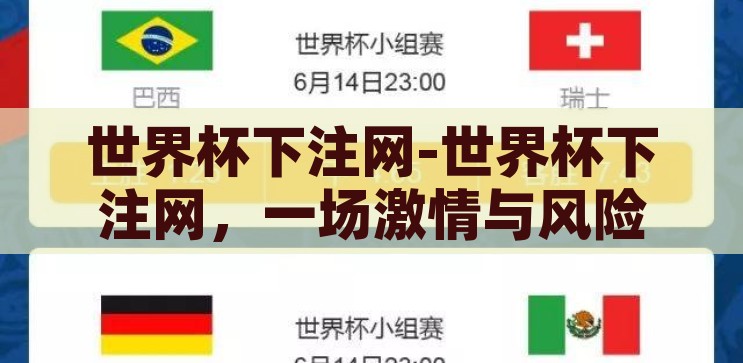 世界杯下注网-世界杯下注网，一场激情与风险并存的盛宴，世界杯下注网，激情与风险并存的盛宴