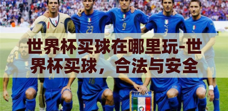 世界杯买球在哪里玩-世界杯买球，合法与安全的线上平台指南，合法与安全的线上平台指南，如何安全参与世界杯买球