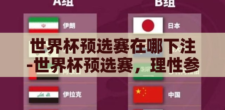世界杯预选赛在哪下注-世界杯预选赛，理性参与与合法渠道的选择，理性参与与合法渠道选择，世界杯预选赛的合法下注指南
