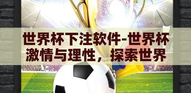 世界杯下注软件-世界杯激情与理性，探索世界杯下注软件的选择与风险，世界杯下注软件，激情与理性的抉择与风险探索