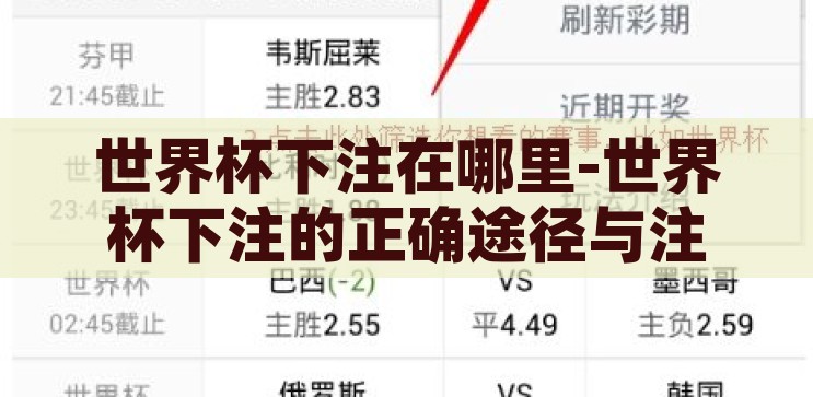 世界杯下注在哪里-世界杯下注的正确途径与注意事项，世界杯下注的正确途径与注意事项