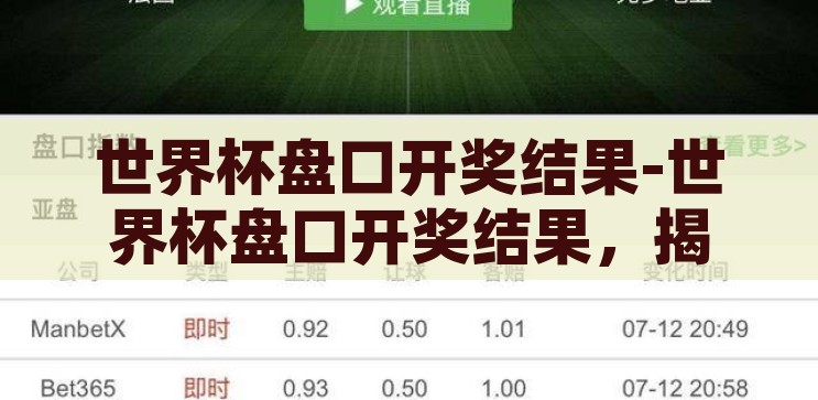 世界杯盘口开奖结果-世界杯盘口开奖结果，揭秘与解析，揭秘与解析，世界杯盘口开奖结果全攻略