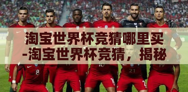 淘宝世界杯竞猜哪里买-淘宝世界杯竞猜，揭秘购买渠道与注意事项，揭秘淘宝世界杯竞猜购买渠道与注意事项