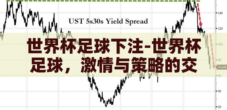 世界杯足球下注-世界杯足球，激情与策略的交织——下注的艺术，世界杯足球，激情与策略的交织——下注的艺术