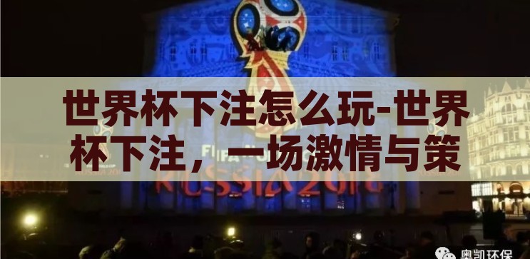 世界杯下注怎么玩-世界杯下注，一场激情与策略的碰撞，世界杯下注，激情与策略的碰撞