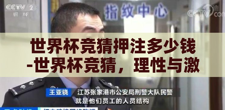 世界杯竞猜押注多少钱-世界杯竞猜，理性与激情的平衡，理性与激情的平衡，世界杯竞猜的合理押注策略