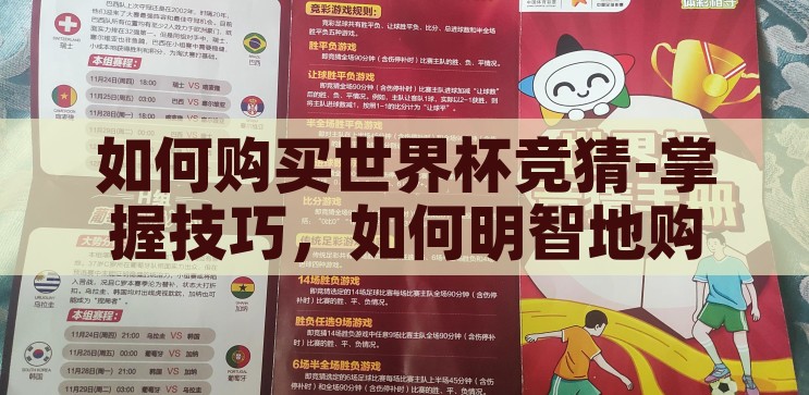 如何购买世界杯竞猜-掌握技巧，如何明智地购买世界杯竞猜，掌握技巧，明智购买世界杯竞猜，从新手到高手的指南