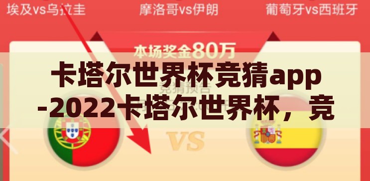 卡塔尔世界杯竞猜app-2022卡塔尔世界杯，竞猜APP的狂欢与挑战，2022卡塔尔世界杯，竞猜APP的狂欢与挑战