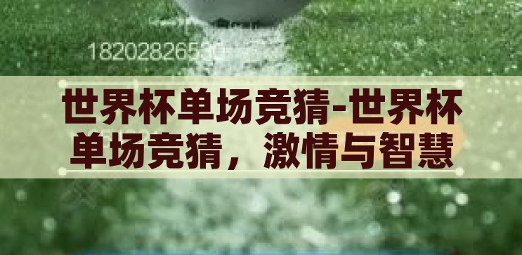 世界杯单场竞猜-世界杯单场竞猜，激情与智慧的碰撞，世界杯单场竞猜，激情与智慧的碰撞