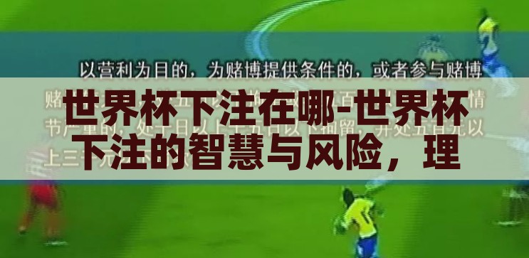 世界杯下注图片-世界杯激情与理性，下注的艺术与风险，世界杯下注，激情与理性的艺术，探索下注的魅力与风险