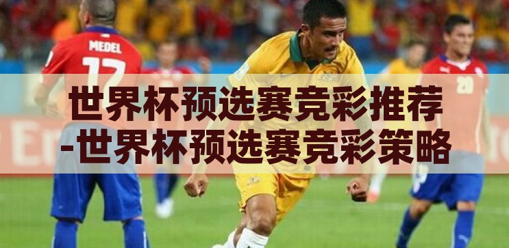 世界杯预选赛竞彩推荐-世界杯预选赛竞彩策略指南，洞悉赛场，精准投注，洞悉赛场，精准投注，世界杯预选赛竞彩策略指南