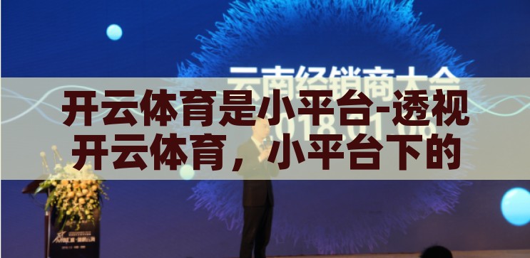 开云体育是小平台-透视开云体育，小平台下的机遇与挑战，透视开云体育，小平台下的机遇与挑战