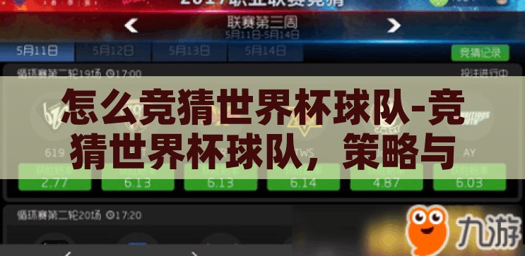 怎么竞猜世界杯球队-竞猜世界杯球队，策略与技巧的融合，掌握策略与技巧，如何竞猜世界杯球队