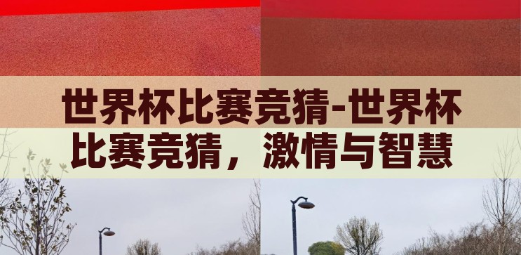 世界杯比赛竞猜-世界杯比赛竞猜，激情与智慧的碰撞，激情与智慧的碰撞，世界杯比赛竞猜
