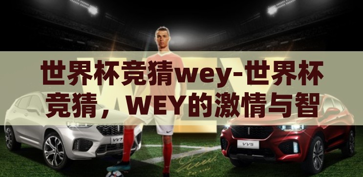 世界杯竞猜wey-世界杯竞猜，WEY的激情与智慧碰撞，WEY的激情与智慧，世界杯竞猜的精彩瞬间