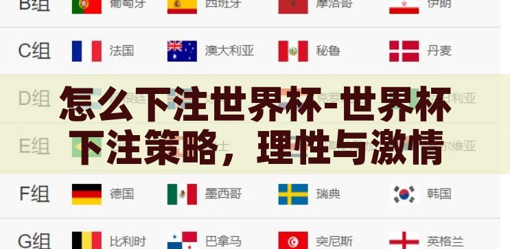 怎么下注世界杯-世界杯下注策略，理性与激情的平衡，理性与激情的平衡，世界杯下注的智慧策略