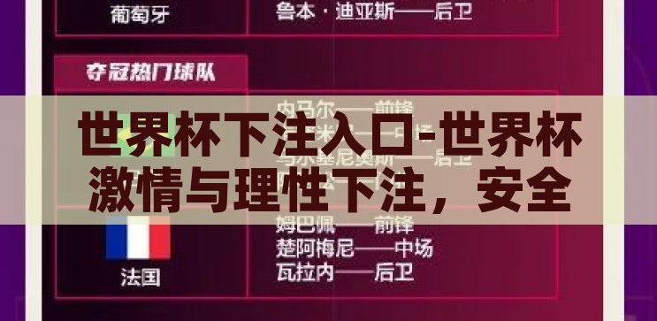 世界杯下注入口-世界杯激情与理性下注，安全入口的探索与选择，探索与选择，世界杯激情与理性下注的安全入口
