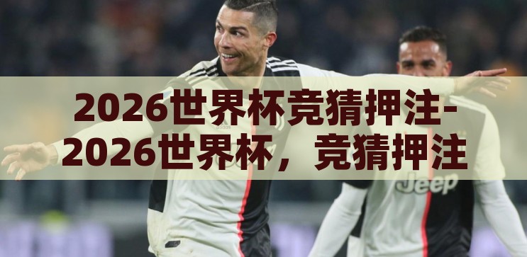 2026世界杯竞猜押注-2026世界杯，竞猜押注的激情与策略，2026世界杯，竞猜押注的激情与策略
