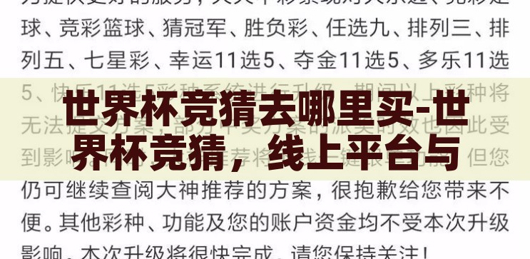 世界杯竞猜去哪里买-世界杯竞猜，线上平台与线下渠道的精彩选择，世界杯竞猜，线上平台与线下渠道的精彩选择