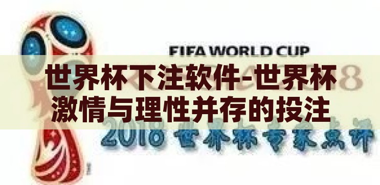 世界杯下注软件-世界杯激情与理性并存的投注新纪元，探索世界杯下注软件的创新与挑战，世界杯下注软件，激情与理性并存的投注新纪元