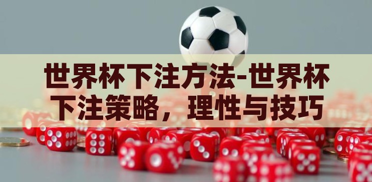 世界杯下注方法-世界杯下注策略，理性与技巧的平衡，理性与技巧并重，世界杯下注的平衡策略