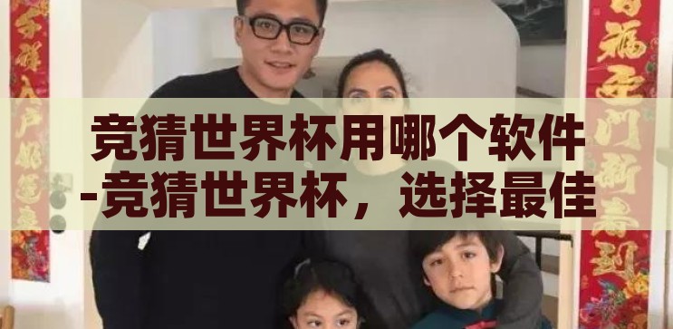 网易新闻app竞猜世界杯-网易新闻app，竞猜世界杯的趣味与智慧碰撞，网易新闻app，竞猜世界杯，趣味与智慧的碰撞