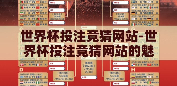 世界杯投注竞猜网站-世界杯投注竞猜网站的魅力与风险，世界杯投注竞猜网站，魅力与风险的双重考量