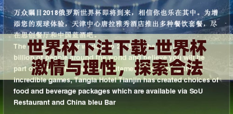 世界杯下注网址-世界杯激情与理性下注，探索足球盛宴的另一面，世界杯激情与理性下注，探索足球盛宴的另一面