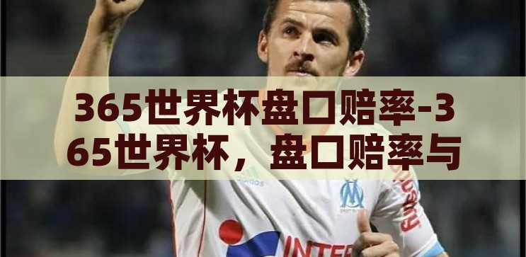 365世界杯盘口赔率-365世界杯，盘口赔率与足球迷的激情博弈，365世界杯，盘口赔率与足球迷的激情博弈