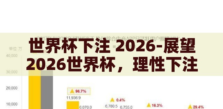 世界杯下注 2026-展望2026世界杯，理性下注的智慧与乐趣，2026世界杯，理性下注的智慧与乐趣