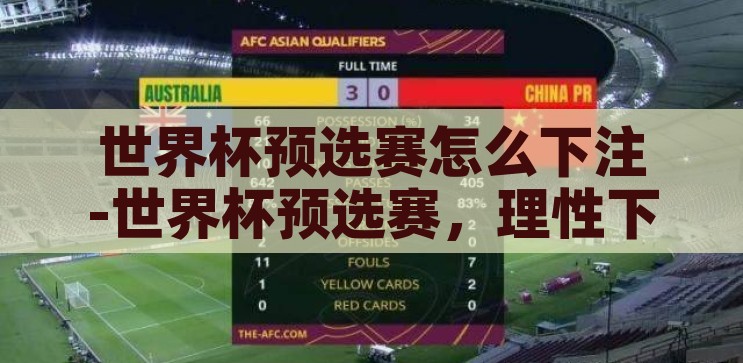 世界杯预选赛怎么下注-世界杯预选赛，理性下注的智慧与策略，理性下注，智慧与策略，世界杯预选赛的投注指南