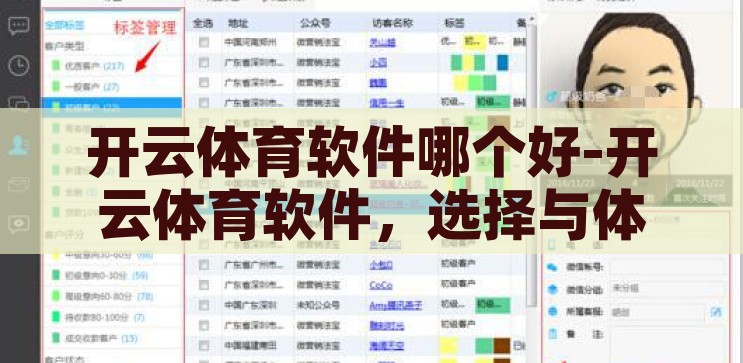 开云体育软件哪个好-开云体育软件，选择与体验的智慧考量，开云体育软件，选择与体验的智慧考量
