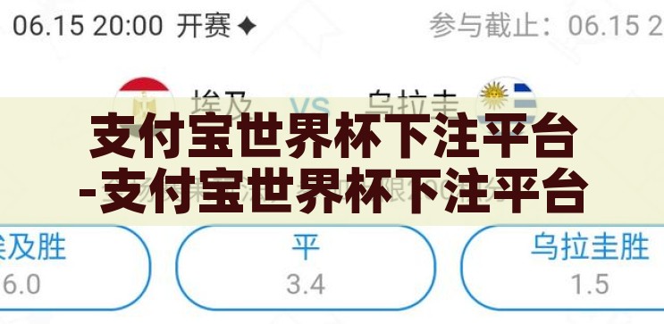 支付宝世界杯下注平台-支付宝世界杯下注平台的利与弊，支付宝世界杯下注平台，利弊分析